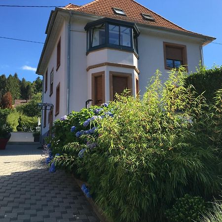 Appartamento Les Magnolias En Alsace - Meuble De Tourisme 3 Etoiles Barembach Esterno foto