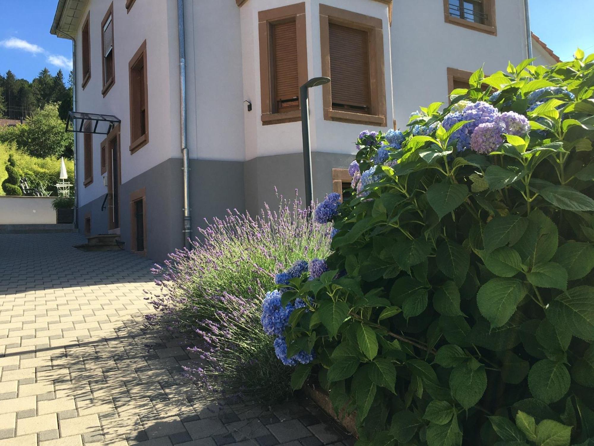 Appartamento Les Magnolias En Alsace - Meuble De Tourisme 3 Etoiles Barembach Esterno foto