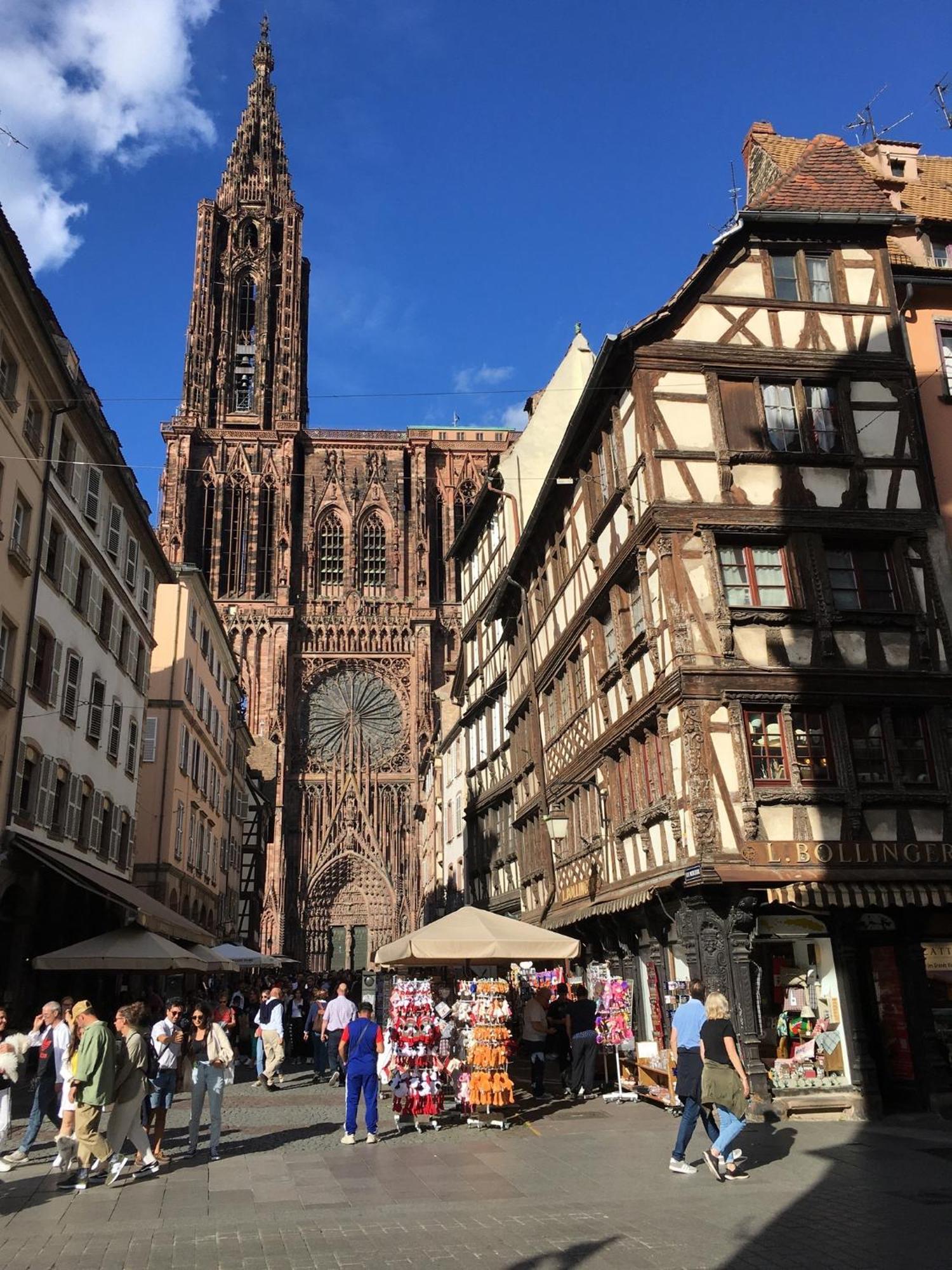 Appartamento Les Magnolias En Alsace - Meuble De Tourisme 3 Etoiles Barembach Esterno foto