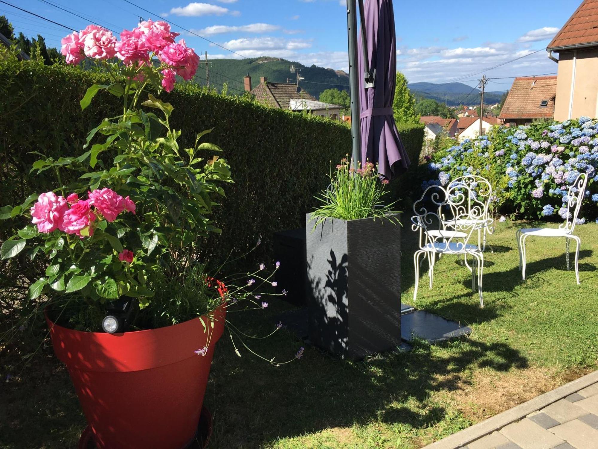Appartamento Les Magnolias En Alsace - Meuble De Tourisme 3 Etoiles Barembach Esterno foto